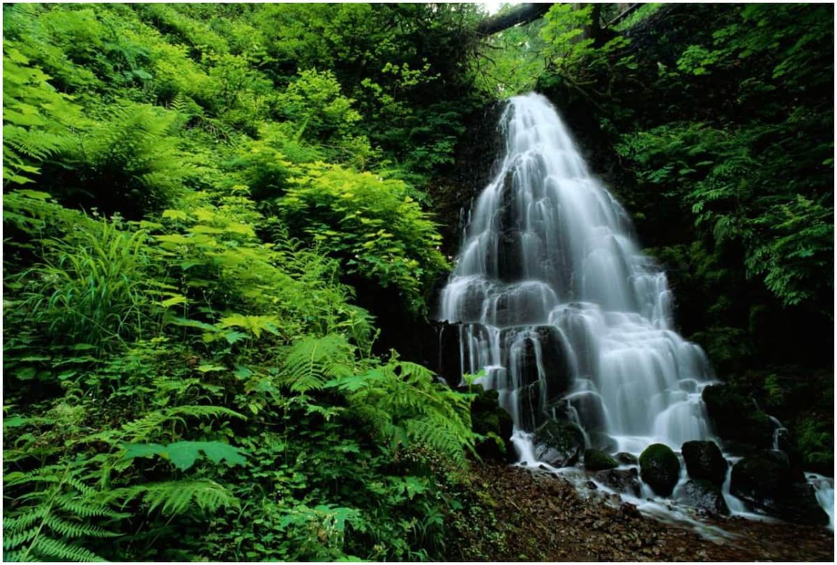 pachmarhi sakharam khade swimming pool of british era open for tourists