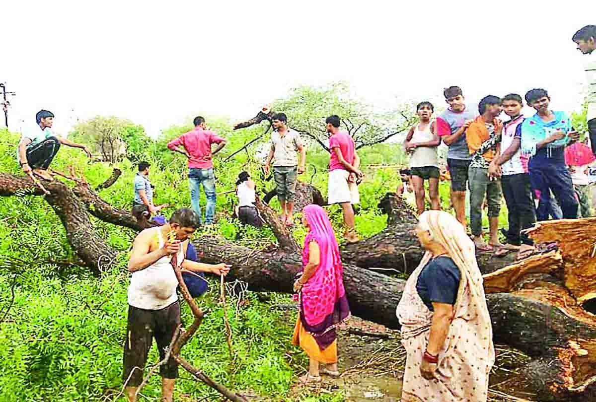storm and rain in up three people died
