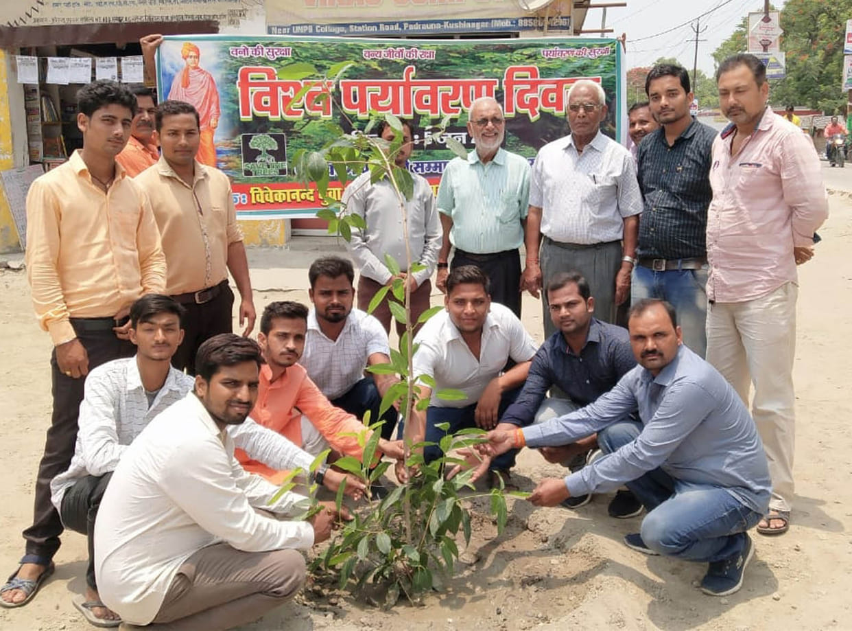 जलवायु और जैव विविधता के संरक्षण के लिए लगाएं पौधे