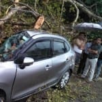 तूफान से कार्बेट पार्क से गिरा पेड़ के नीचे दबी कार