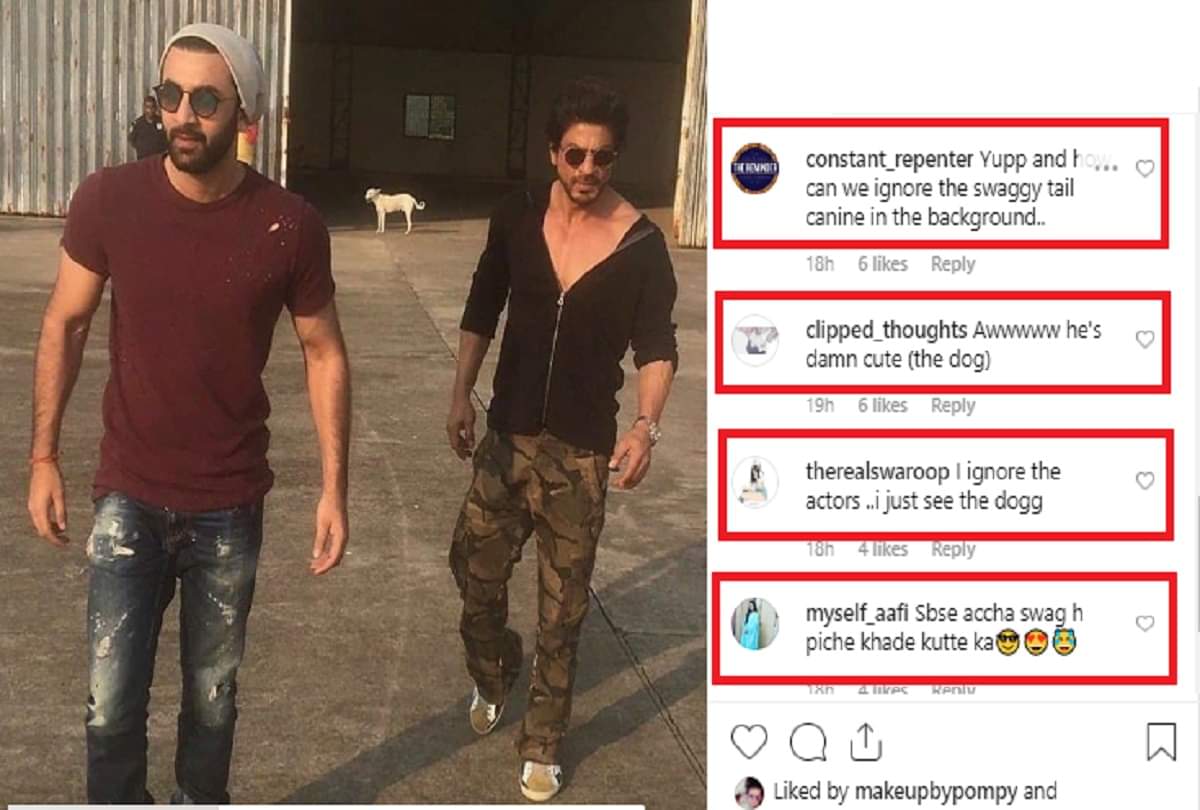 shahrukh and ranbir old picture is viral  on social media know why