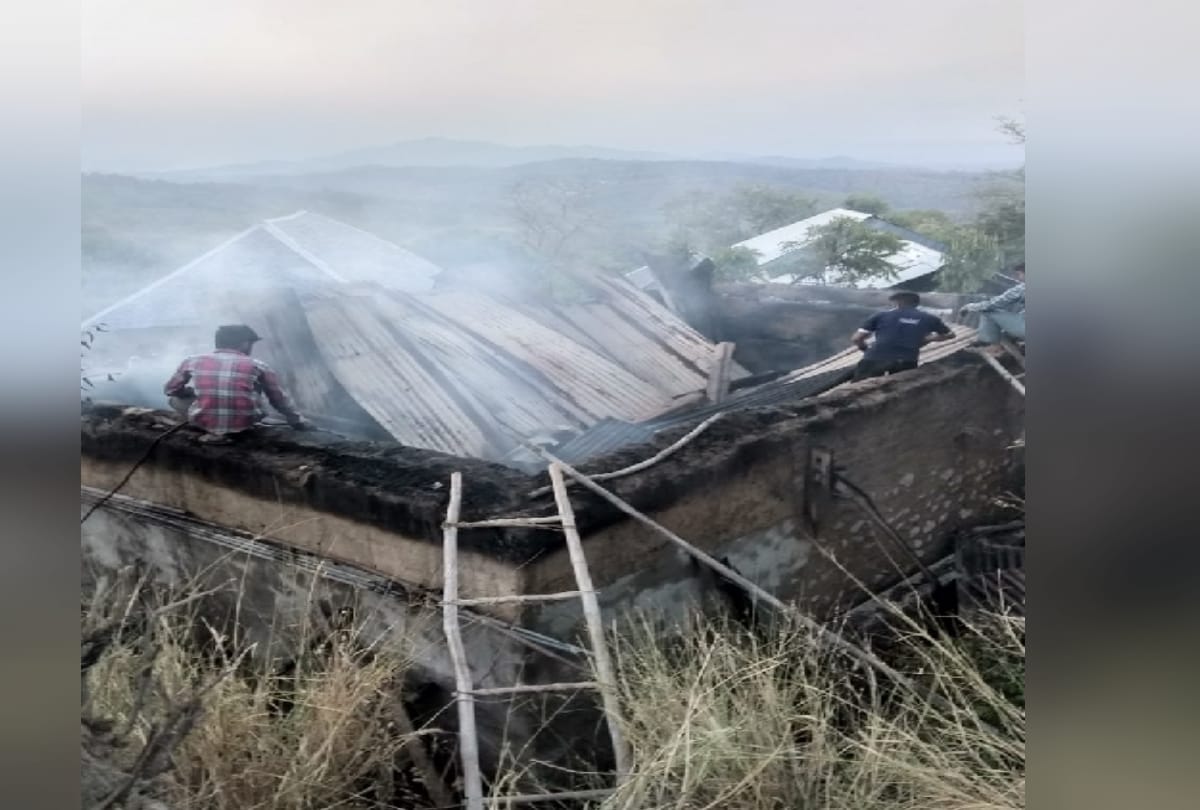 eight cattle burnt alive after cattle shed on fire in una