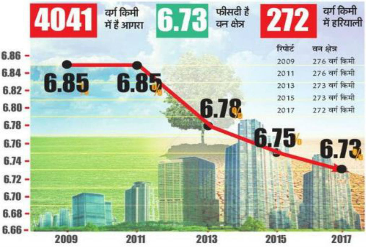 more than one lakh trees cut in agra