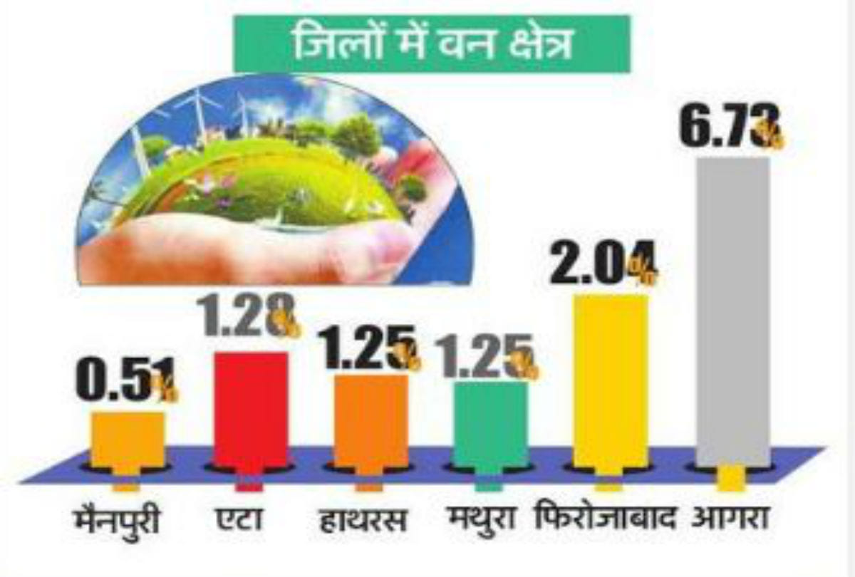 more than one lakh trees cut in agra