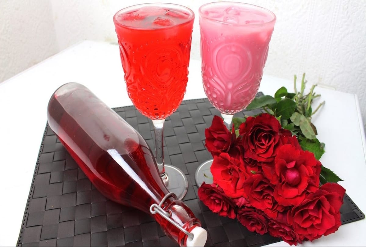 gulab sharbat benefits and its recipe