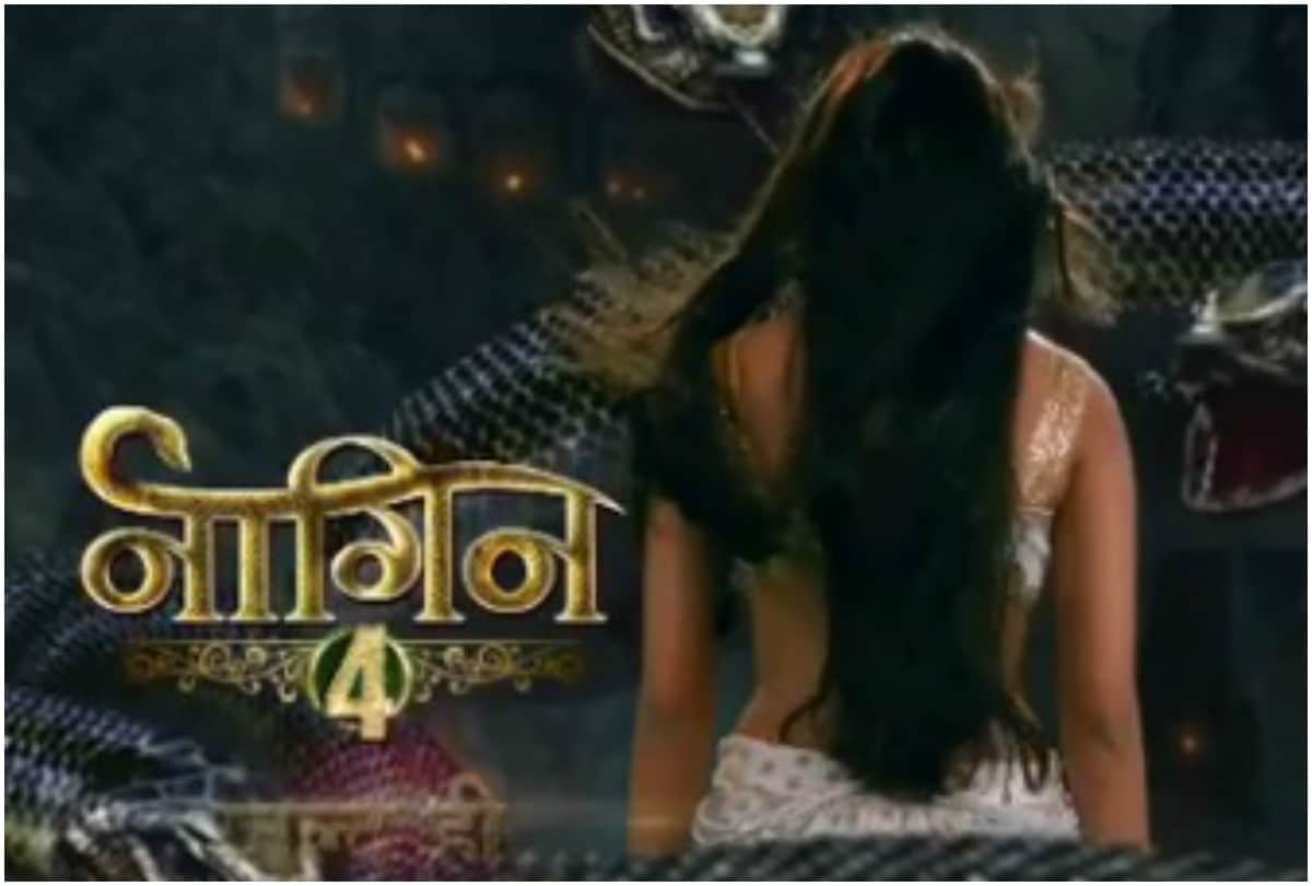 Dabangg 3 new song to punjabi singer criticized Shahnaz Gill these are five news