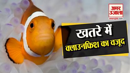world ocean day