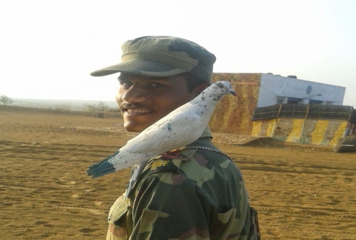 Condition of BSF soldiers deployed on India Pak border in Jaisalmer