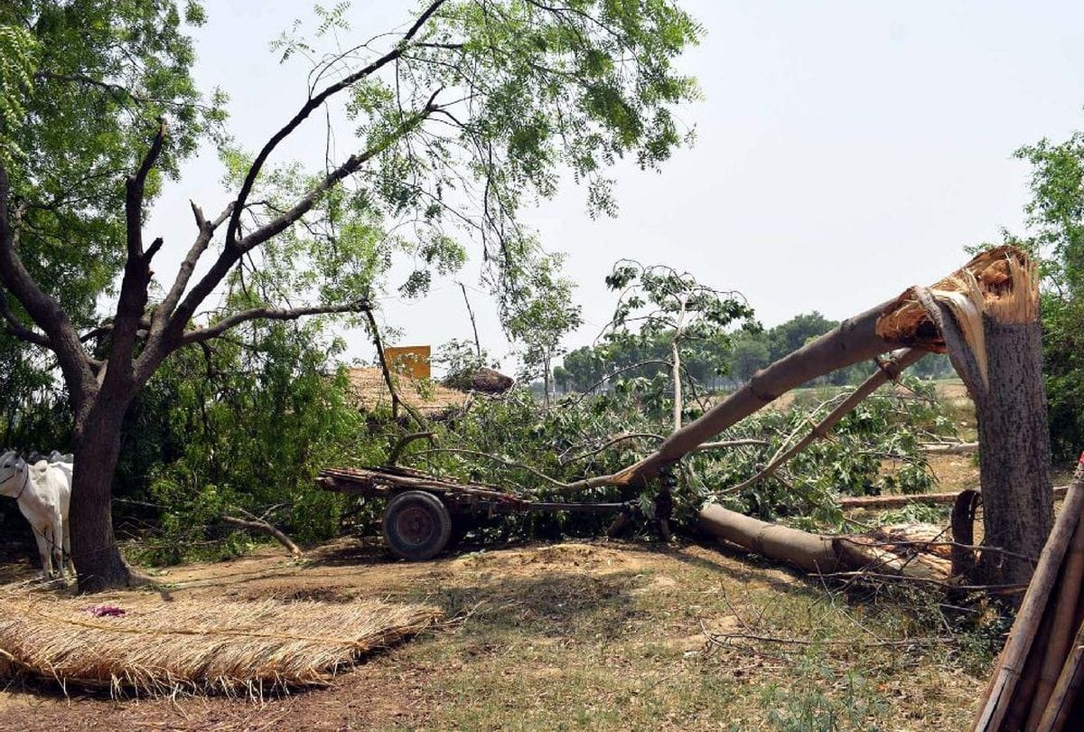 Compensation issued nine lakh rupees from typhoon deaths in kasganj