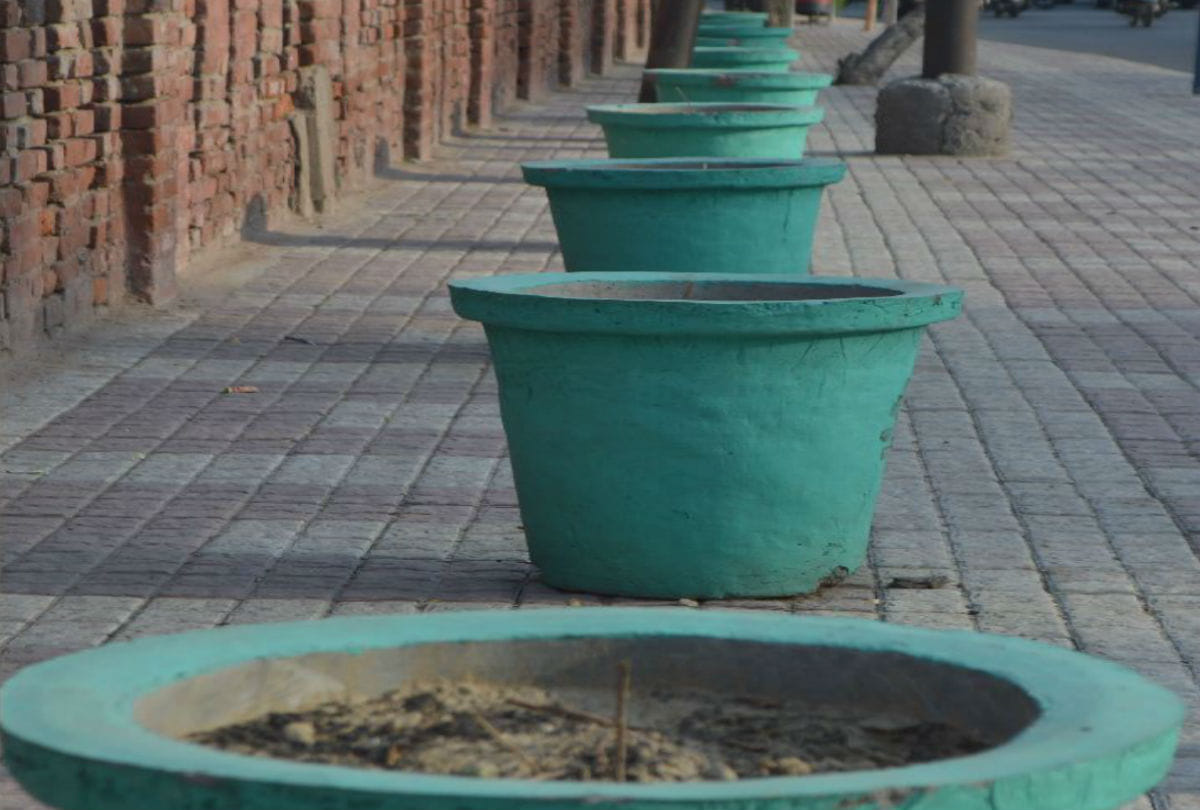 more than one lakh trees cut in agra