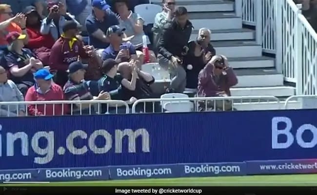 World Cup 2019 viral video during australia vs west indies match