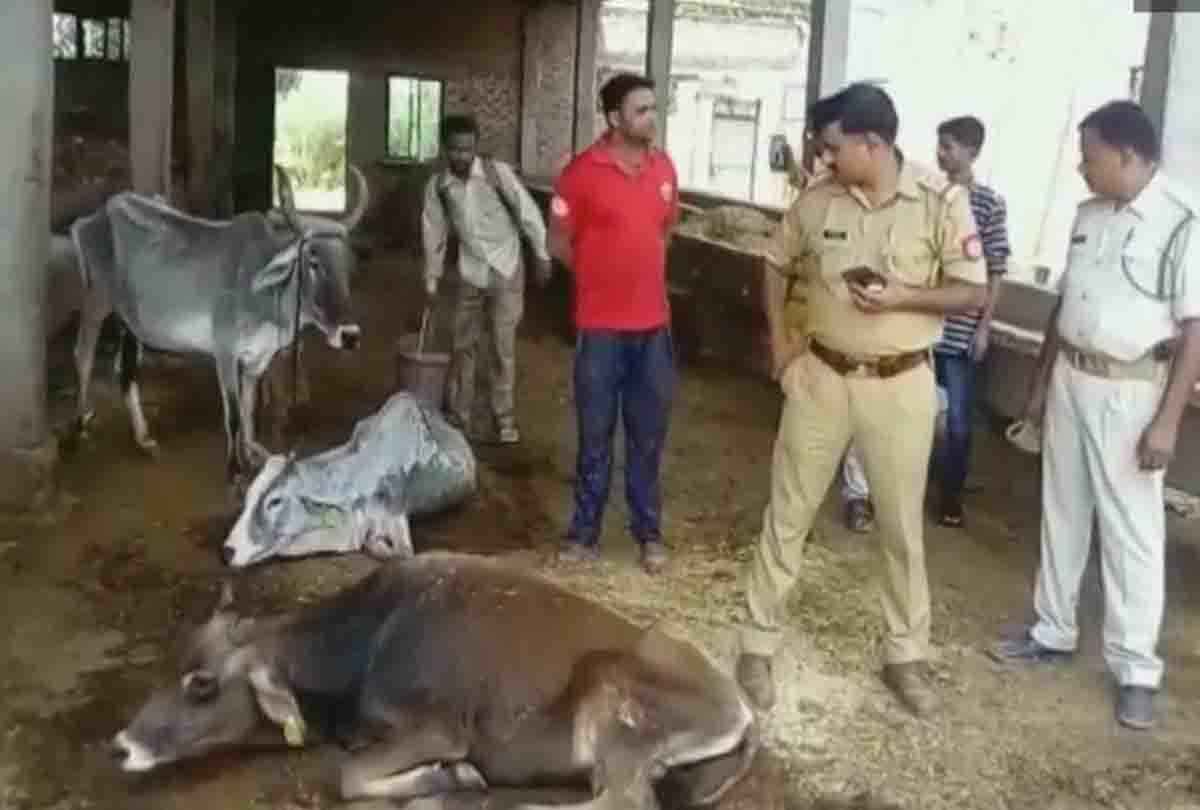 kannauj sdm statement after 11 cwo found dead