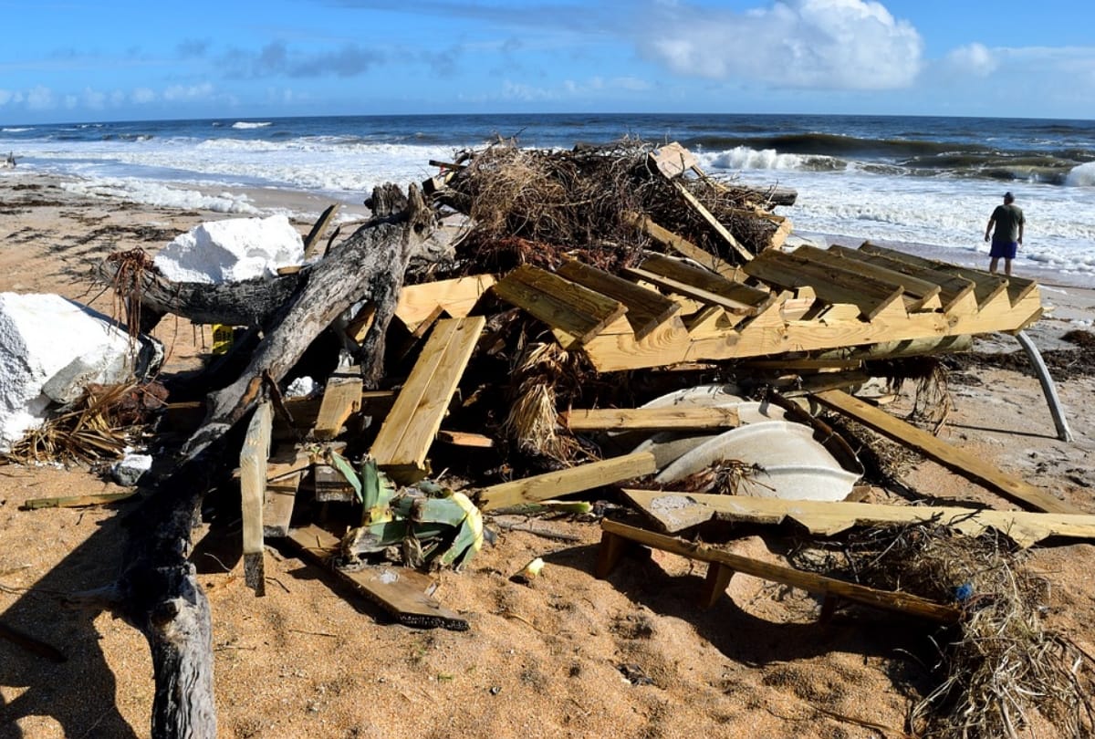 world ocean day 2019 5 situation making oceans state worst