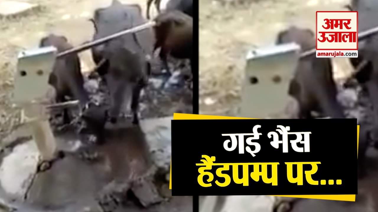 प्रतीकात्मक तस्वीर