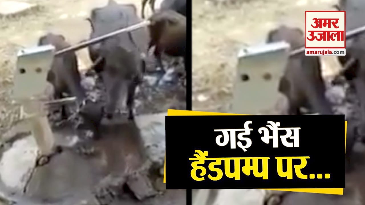प्रतीकात्मक तस्वीर