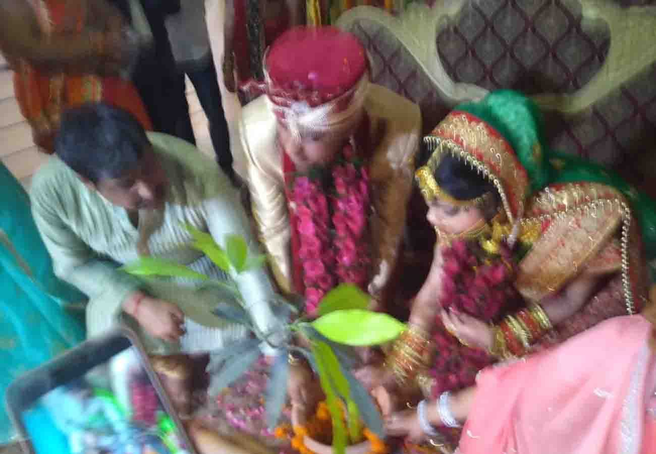 marriages incomplete without Plantation, santosh bajpai effort to save environment