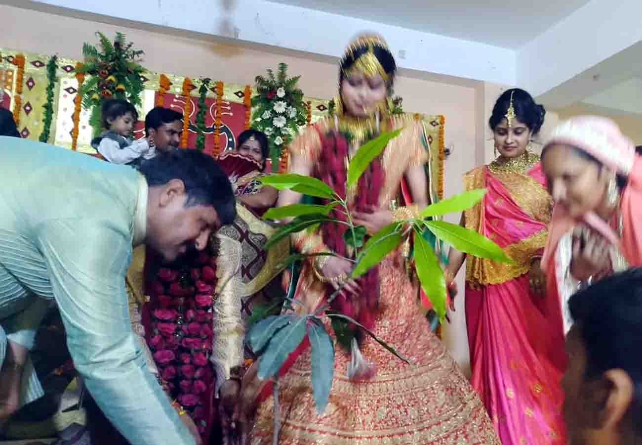 marriages incomplete without Plantation, santosh bajpai effort to save environment