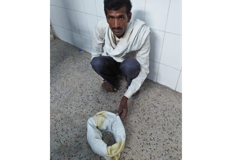 A villager brought snake to a hospital in Bahraich.