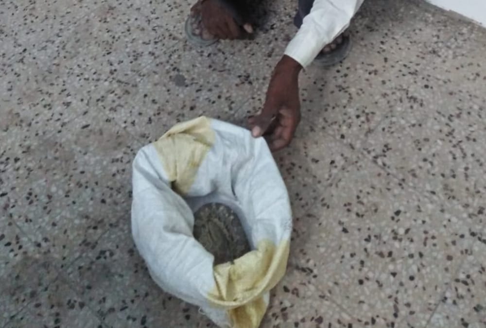 A villager brought snake to a hospital in Bahraich.