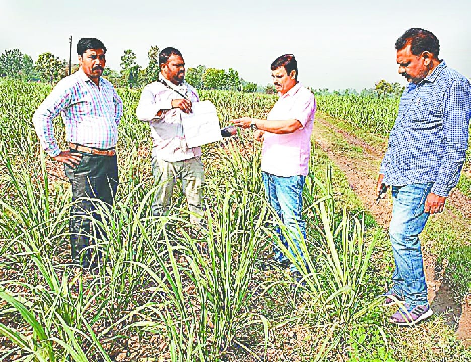 Farmers to take survey slip, after taking cane survey