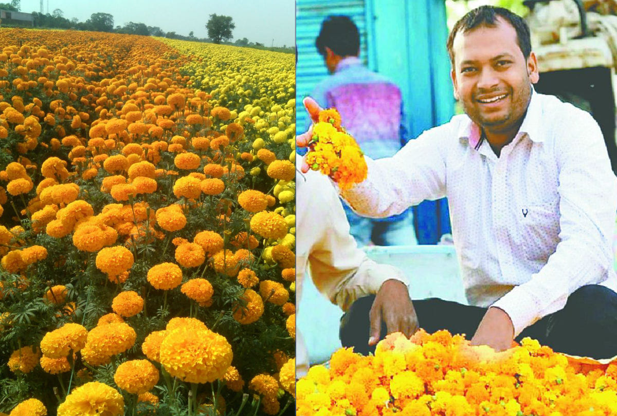 mba pass ravipal left job for marigold farming in mainpuri
