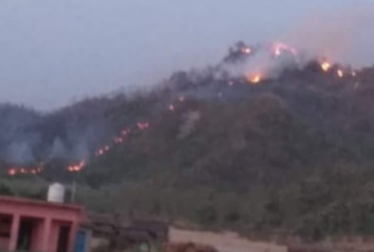 Fire in Kalesar National Park at Yamunanagar of Haryana