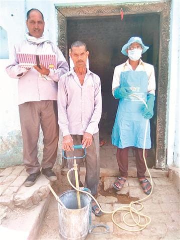 Mosquito killed in malaria prevention month