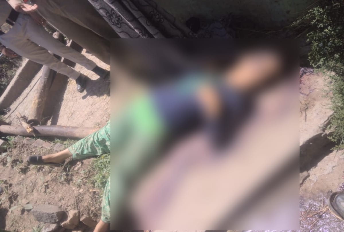husband killed wife by attacking with rod in chamba hp