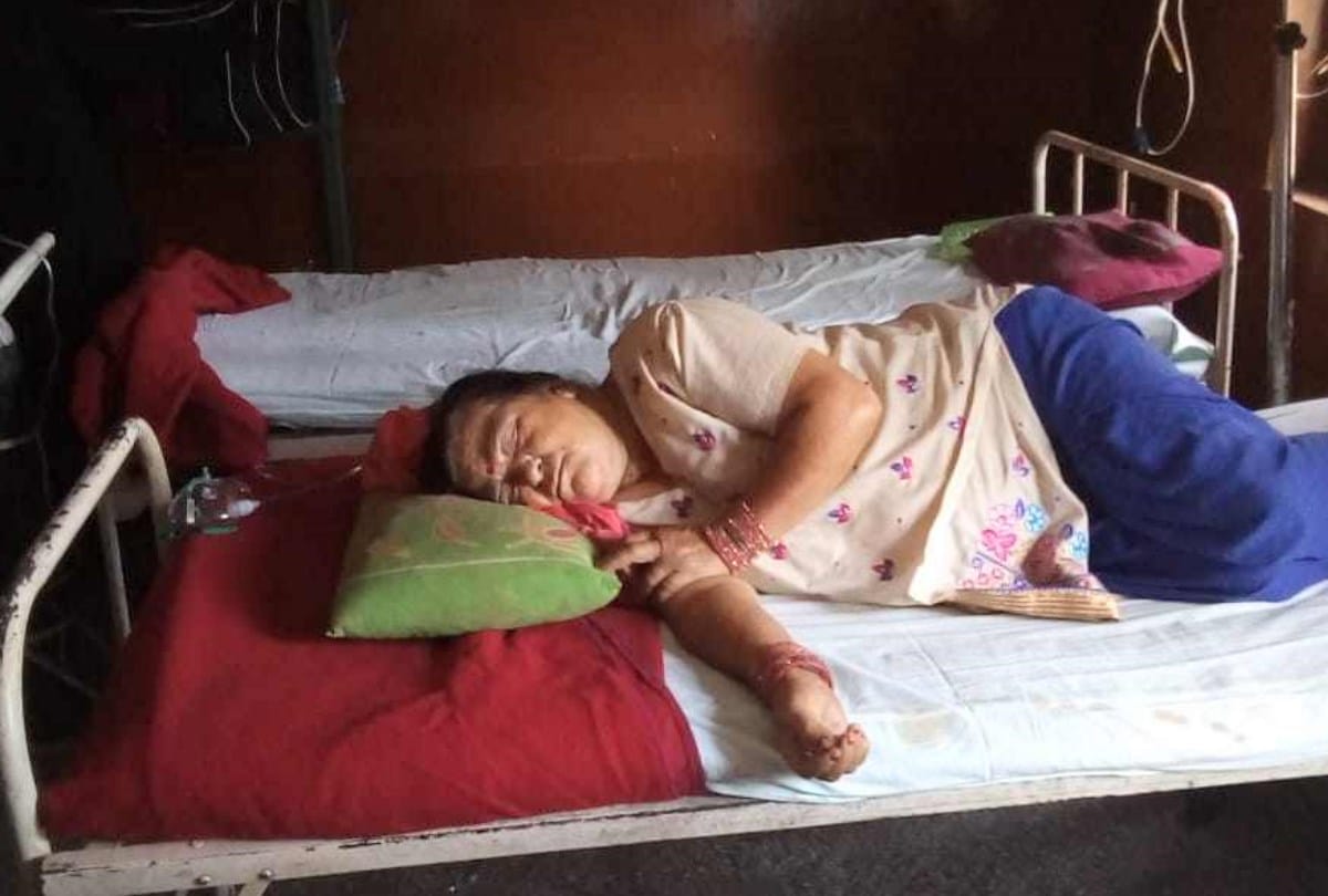 One dead Five injured after bees attack in Bilaspur Himachal Pradesh