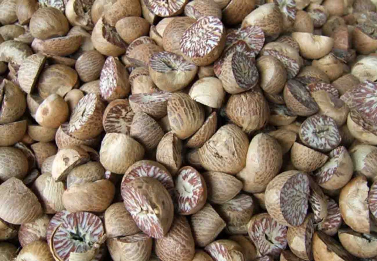 Customs Lucknow team caught smuggled 100 bore Areca nut, action on Kanpur Central