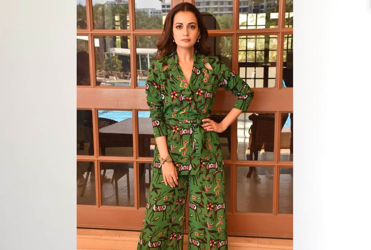 aarey protest richa chadha and dia mirza takes to trolls