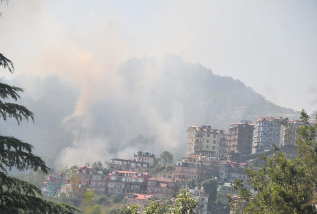 523 forest fire cases recorded in himachal in this season