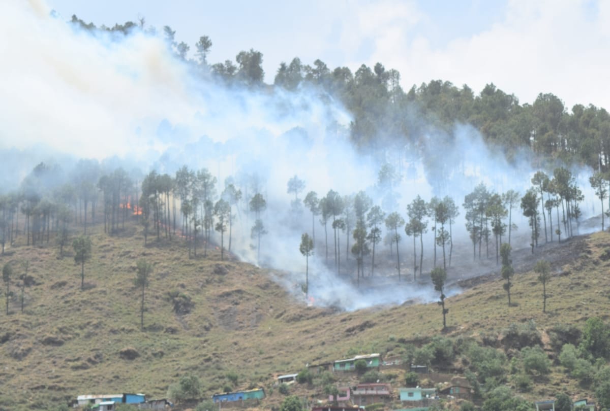 523 forest fire cases recorded in himachal in this season