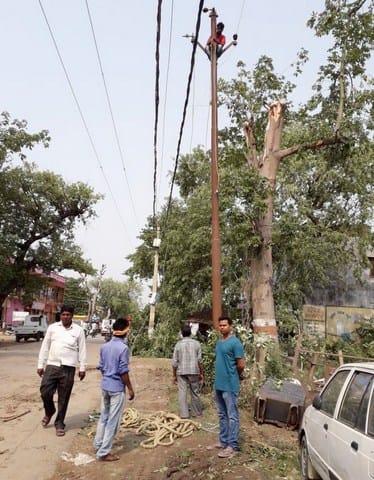 Gale-rains fall in trees, electricity gulls