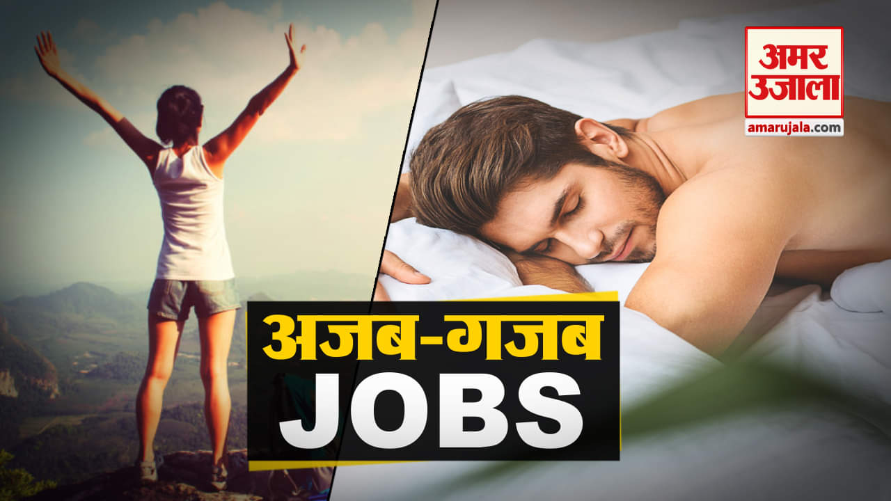 मजेदार नौकरी