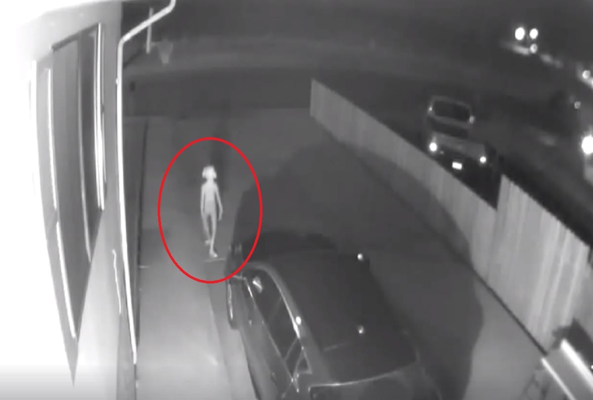 Mysterious creature captured in CCTV camera video viral in social media