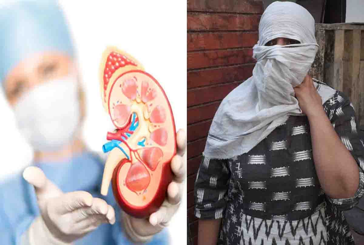 kidney scandal case accused fortis hospital coordinator hearing