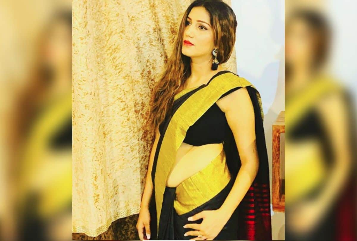 sapna choudhary look in saree users asked is she pregnant