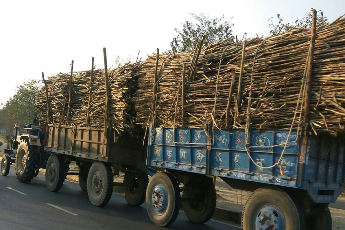 No increase in sugarcane prices for the second consecutive year