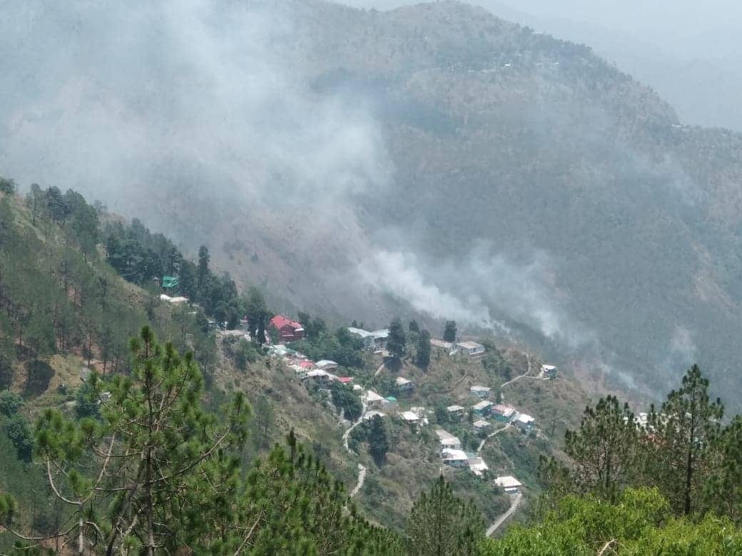 wildfire in nainital and dehradun selaqui forest