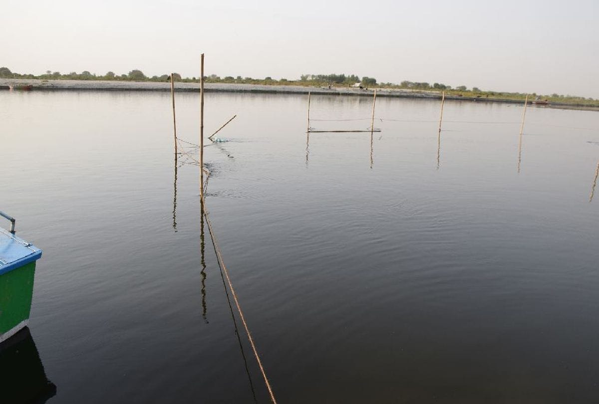 ganga dussehra 2019 Devotees will take a bath in mathura yamuna river