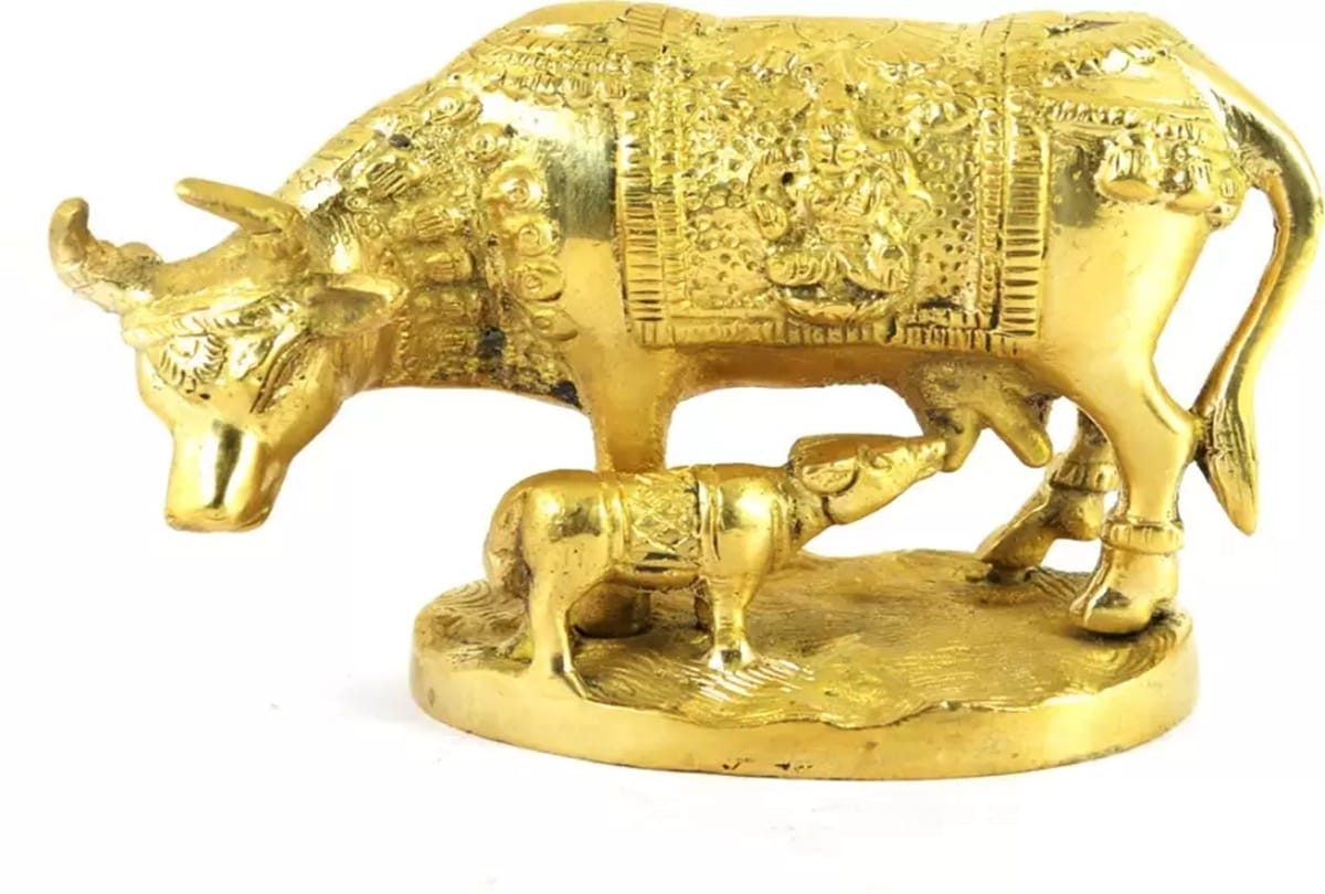 Gopashtmai 2021 Gopashtami on November 12, know what is the importance of gau poojan and pooja vidhi