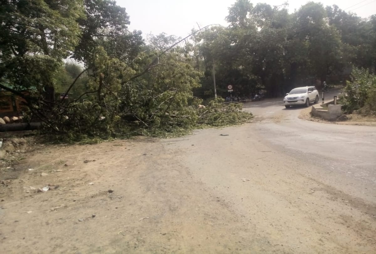 large scale loss due to storm to apple crop in himachal