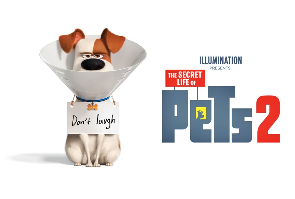 Filmy Friday Hollywood Bollywood Movies Releasing on Friday 14 June 2019