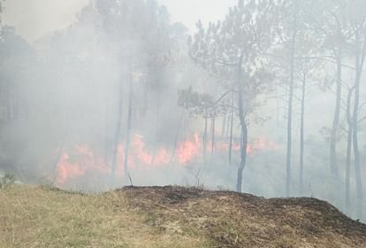 Uttarakhand News: प्रदेश में तीन जगह आग लगने से जले जंगल, दो युवकों की मौत के मामले में रिपोर्ट तलब Forests burnt due to fire in three places in Uttarakhand Kumaon read more updates in hindi