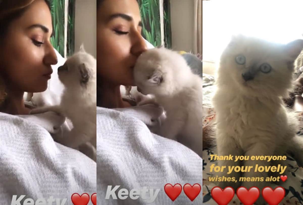 Disha Patani celebrated her birthday on Thursday and welcomed a new member to her family