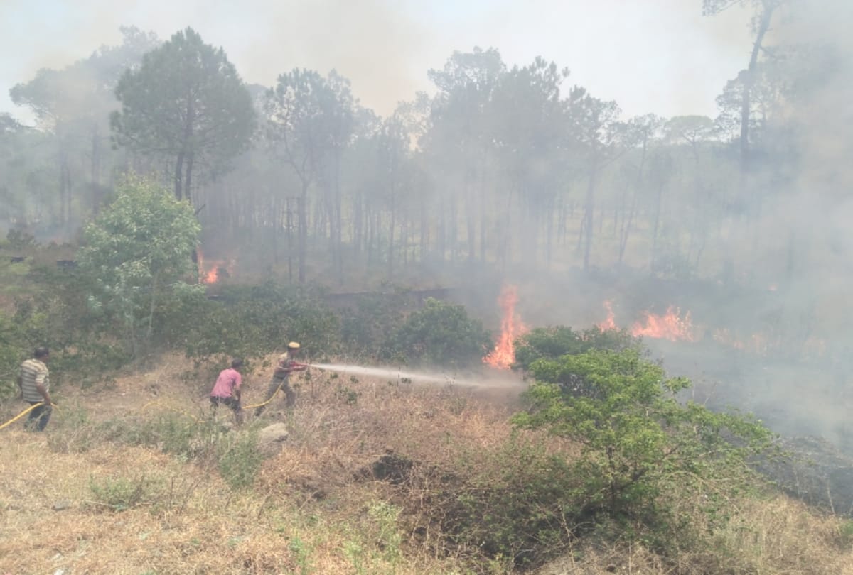 forest fire reached Senior secondary school in bilaspur himachal