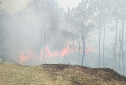 forest fire reached Senior secondary school in bilaspur himachal