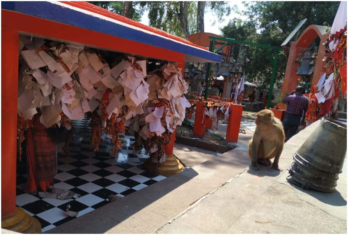 Chitai Golu Devta Temple Almora Uttarakhand know How to go