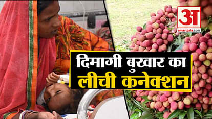 What is the connection between lychee and brain disease in muzaffarpur